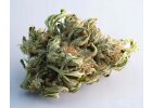 CBD sušené konope Premafrost 1kg  3% VYPR